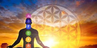 « Ouvrir sa Conscience »